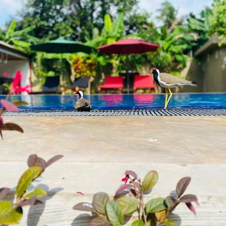 The Kingslayer Resort Negombo Bagian luar foto