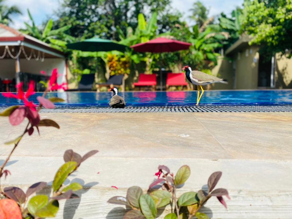 The Kingslayer Resort Negombo Bagian luar foto
