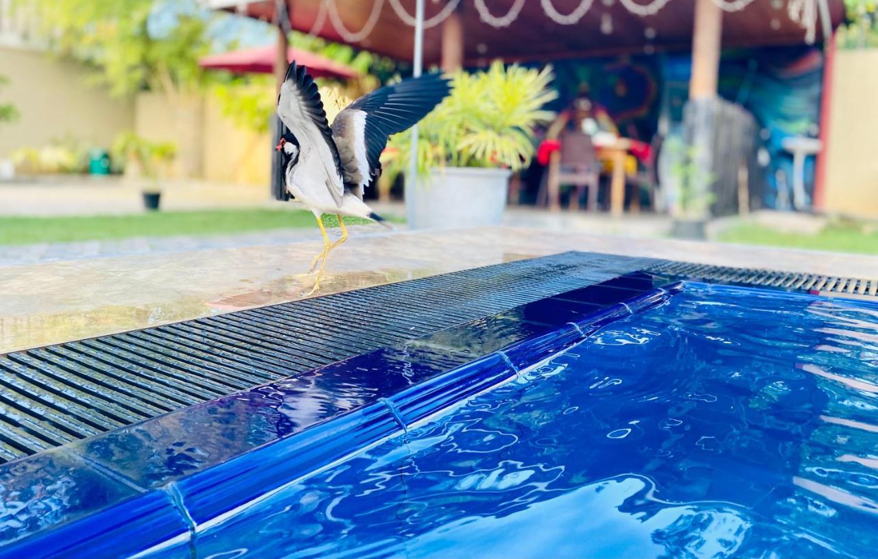 The Kingslayer Resort Negombo Bagian luar foto